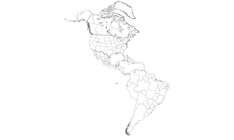 Range Map (Americas): Budgerigar