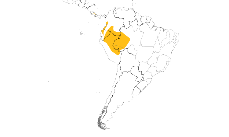 Range Map (South): Lanceolated Monklet