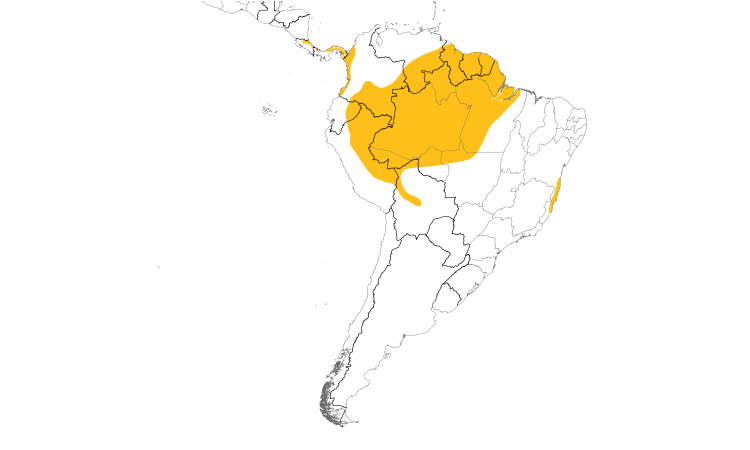 Range Map (South): Slaty-backed Forest-Falcon