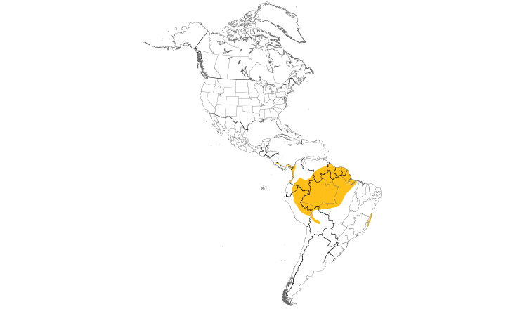 Range Map (Americas): Slaty-backed Forest-Falcon
