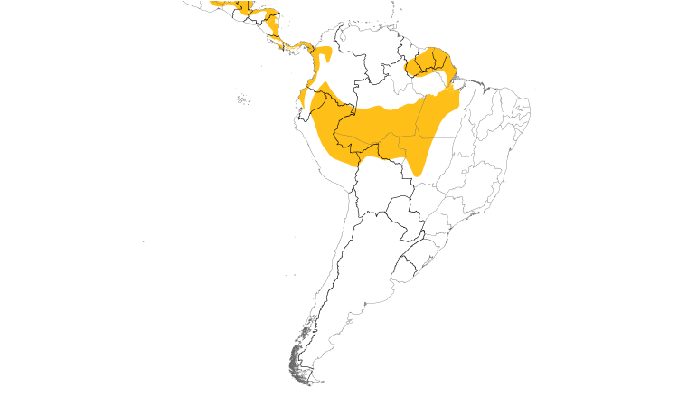 Range Map (South): Dot-winged Antwren