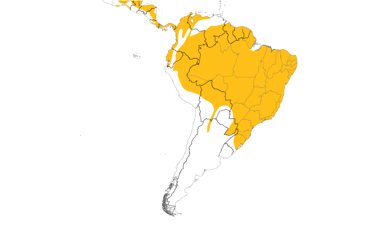 Range Map (South): Barred Forest-Falcon