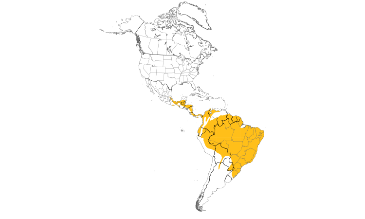 Range Map (Americas): Barred Forest-Falcon