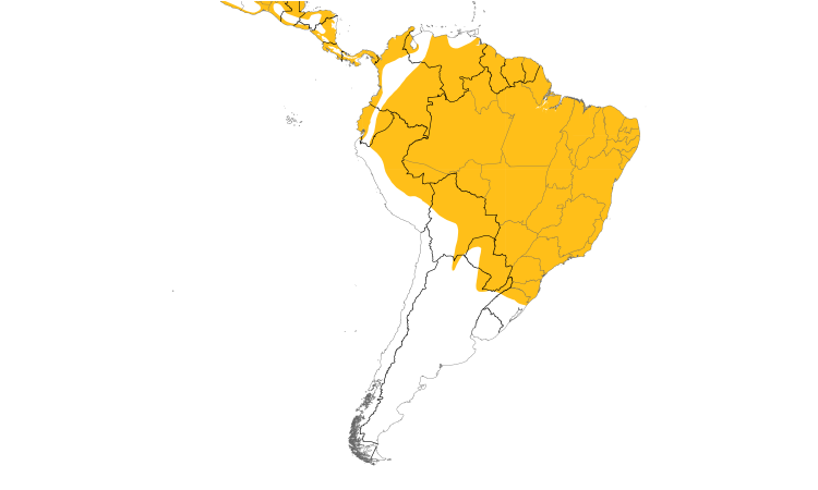 Range Map (South): Collared Forest-Falcon