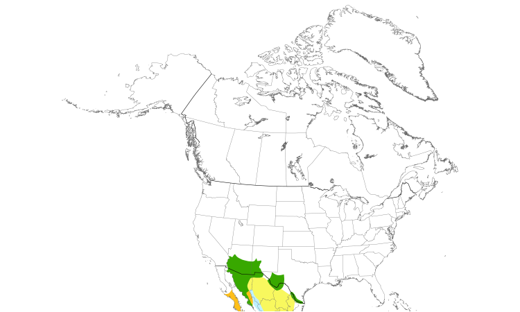 Range Map (North): Elf Owl