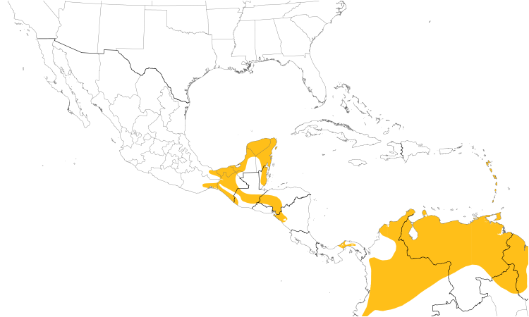 Range Map (Central): Tropical Mockingbird