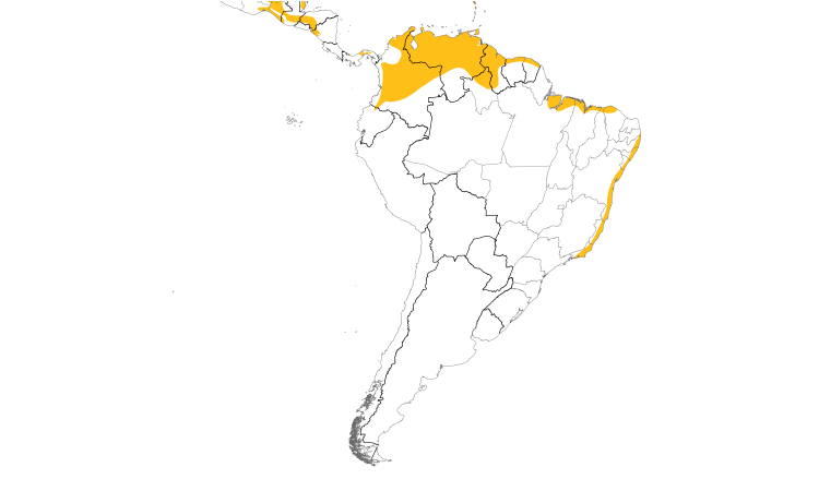 Range Map (South): Tropical Mockingbird