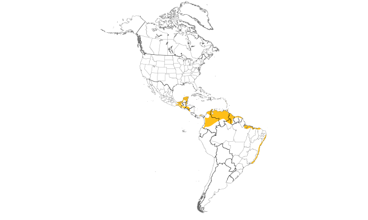 Range Map (Americas): Tropical Mockingbird