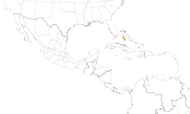 Range Map (Central): Bahama Mockingbird