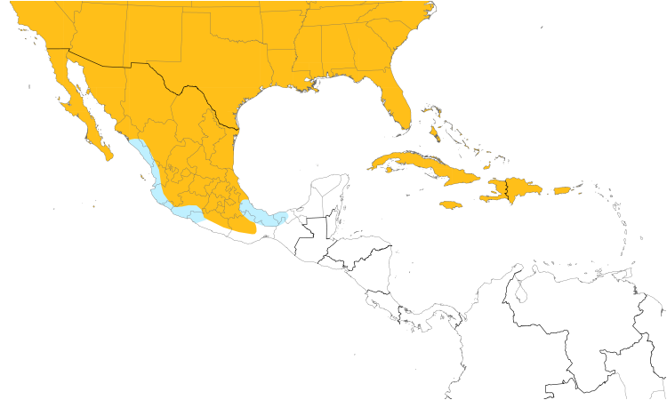 Range Map (Central): Northern Mockingbird