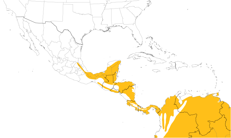 Range Map (Central): Ochre-bellied Flycatcher