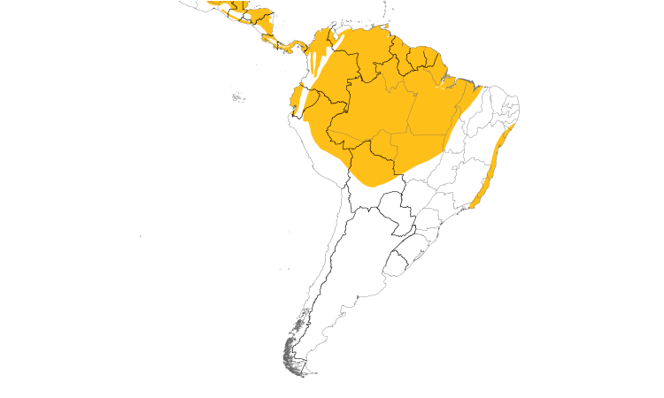 Range Map (South): Ochre-bellied Flycatcher