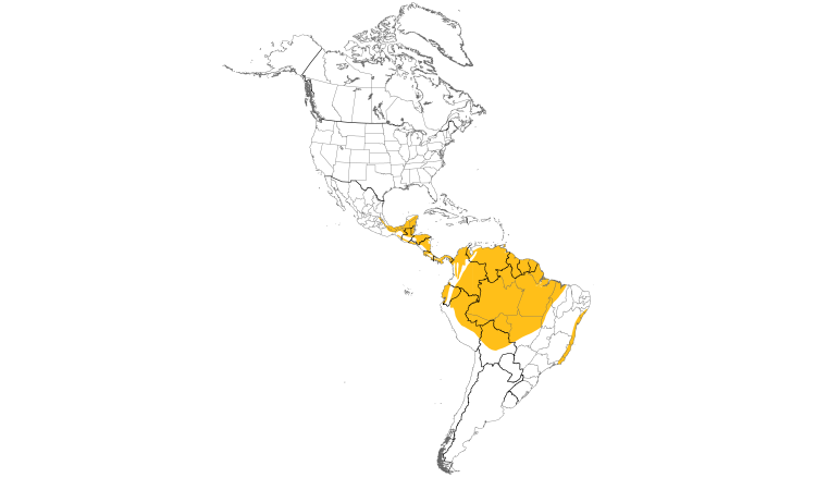 Range Map (Americas): Ochre-bellied Flycatcher