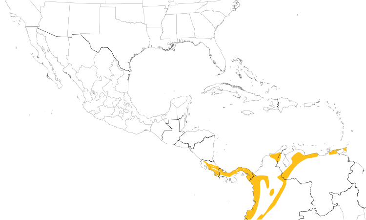 Range Map (Central): Olive-striped Flycatcher
