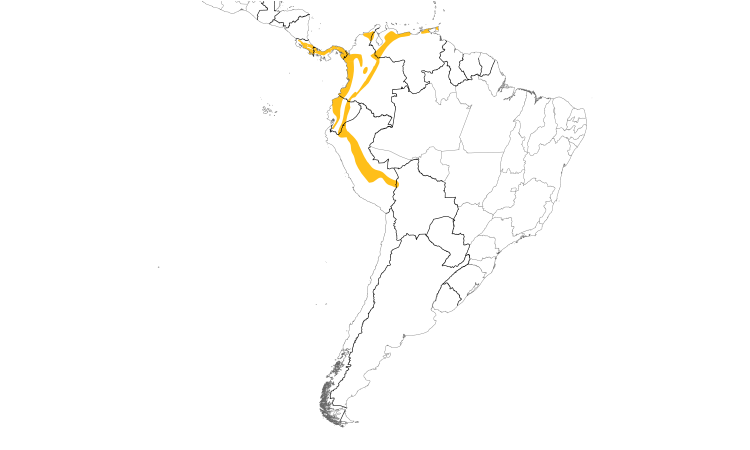 Range Map (South): Olive-striped Flycatcher