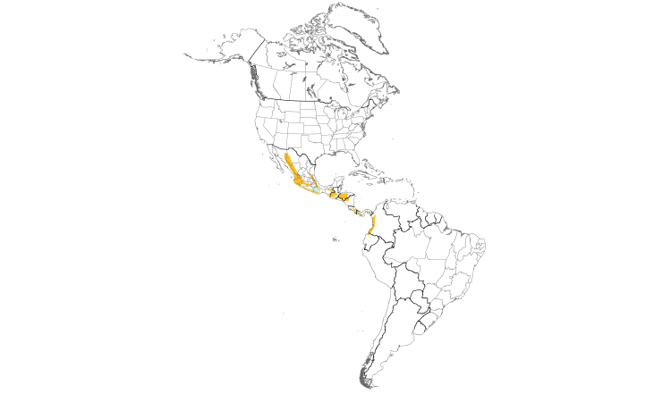Range Map (Americas): Tufted Flycatcher