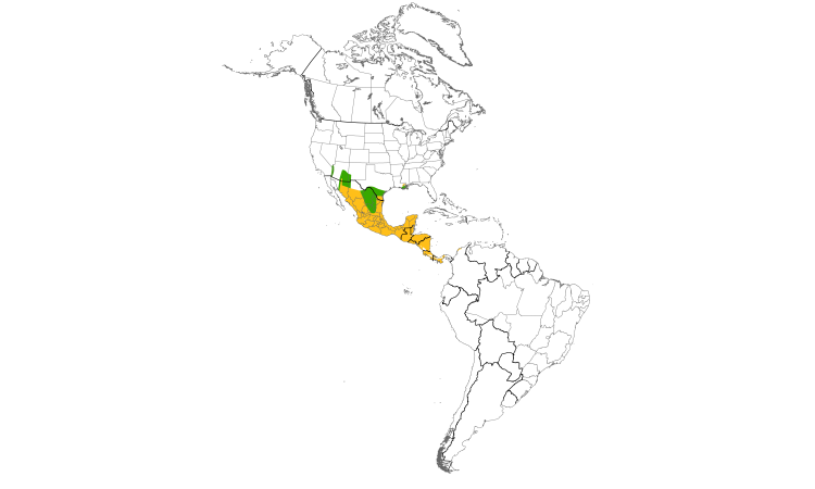 Range Map (Americas): Bronzed Cowbird