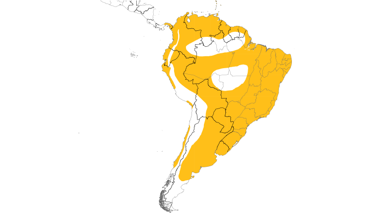 Range Map (South): Shiny Cowbird