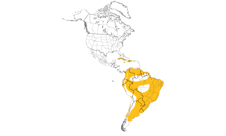 Range Map (Americas): Shiny Cowbird
