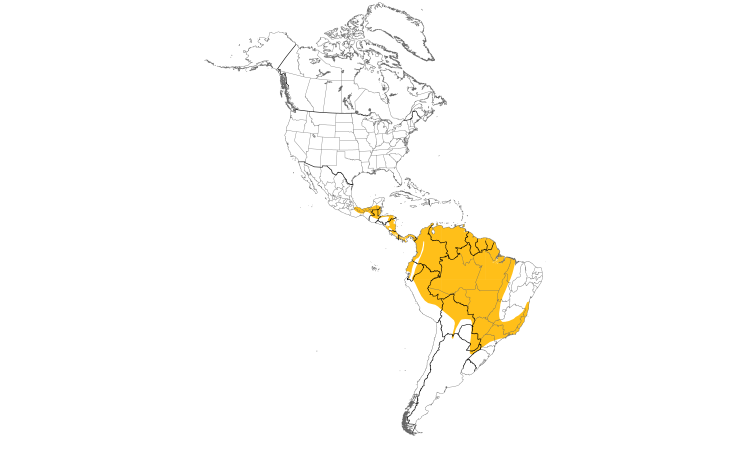 Range Map (Americas): Giant Cowbird