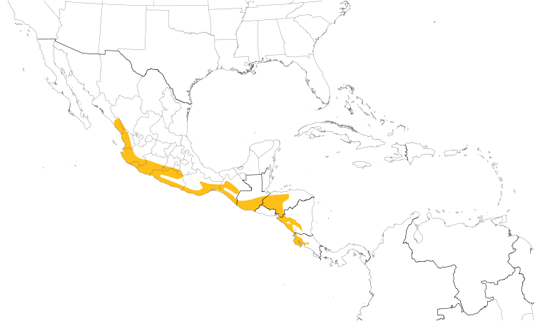Range Map (Central): Lesser Ground-Cuckoo