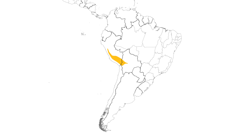 Range Map (South): White-fronted Ground-Tyrant