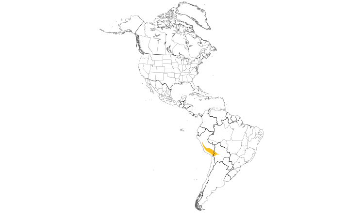 Range Map (Americas): White-fronted Ground-Tyrant