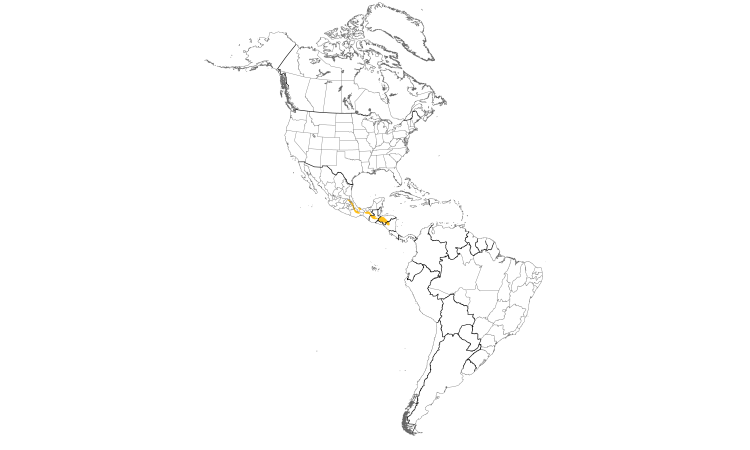 Range Map (Americas): Slate-colored Solitaire
