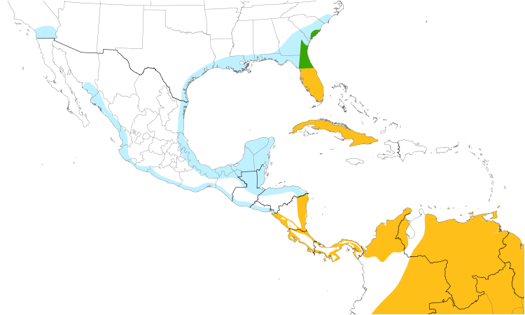 Range Map (Central): Wood Stork