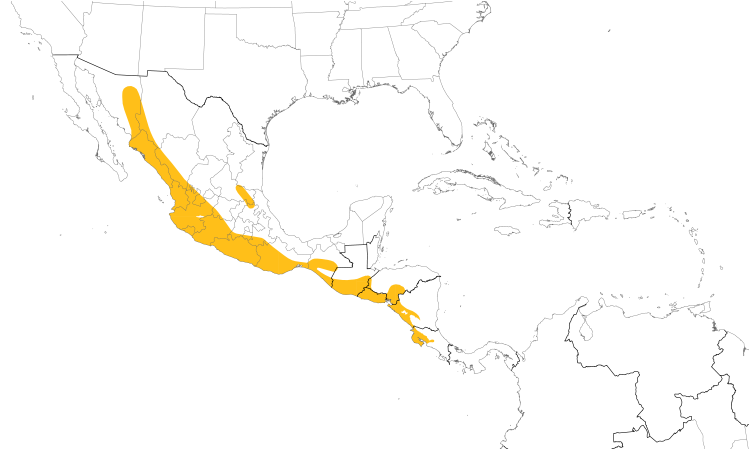Range Map (Central): Nutting's Flycatcher