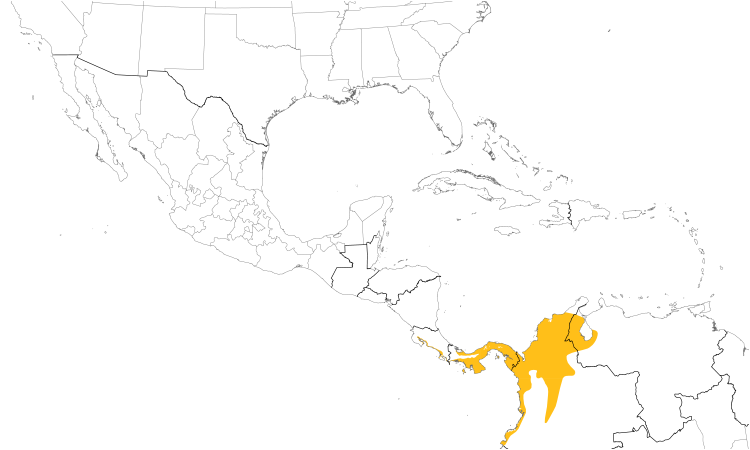 Range Map (Central): Panama Flycatcher