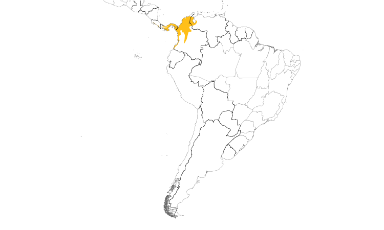 Range Map (South): Panama Flycatcher