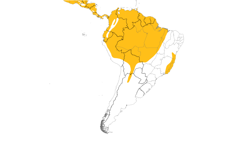 Range Map (South): Dusky-capped Flycatcher