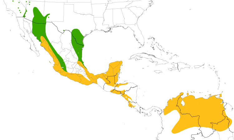 Range Map (Central): Brown-crested Flycatcher