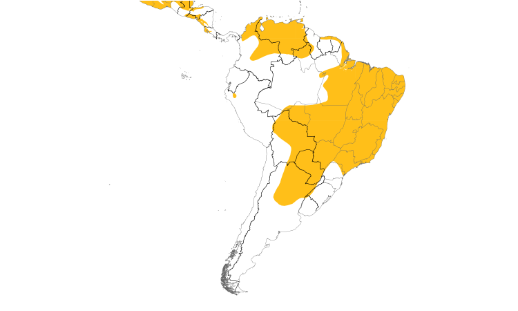 Range Map (South): Brown-crested Flycatcher