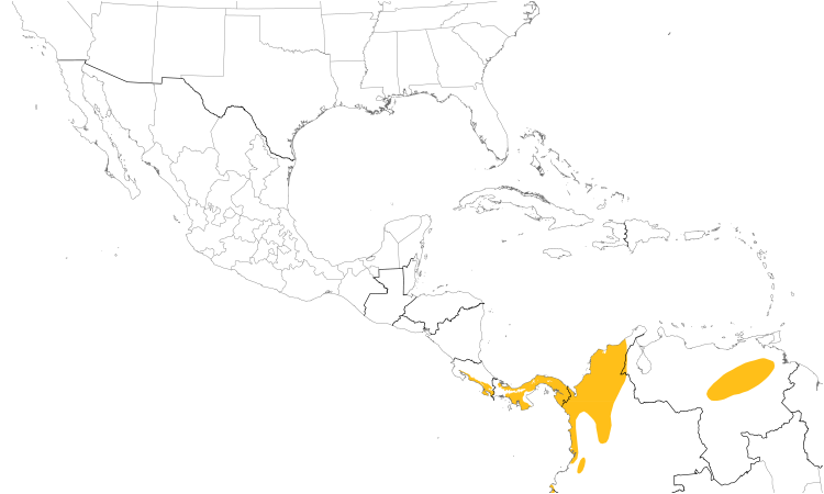Range Map (Central): Black-tailed Flycatcher