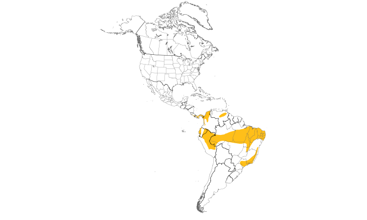 Range Map (Americas): Black-tailed Flycatcher