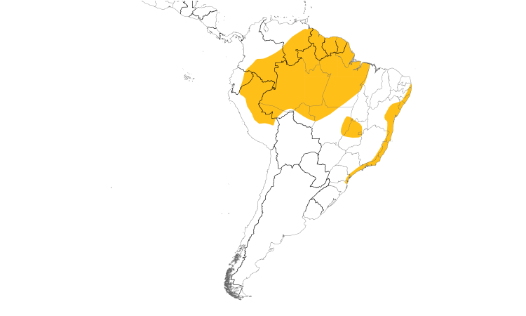 Range Map (South): Sulphur-rumped Flycatcher