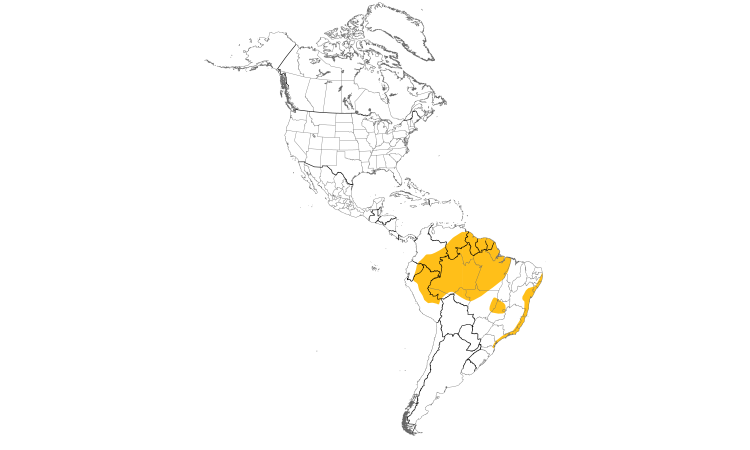 Range Map (Americas): Sulphur-rumped Flycatcher