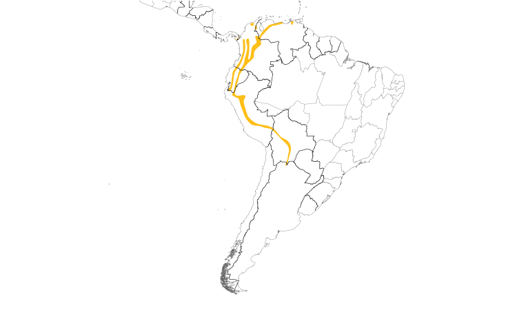 Range Map (South): Golden-crowned Flycatcher