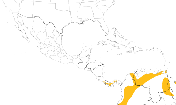 Range Map (Central): Bran-colored Flycatcher