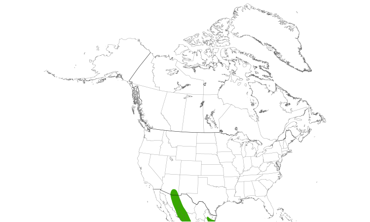 Range Map (North): Sulphur-bellied Flycatcher