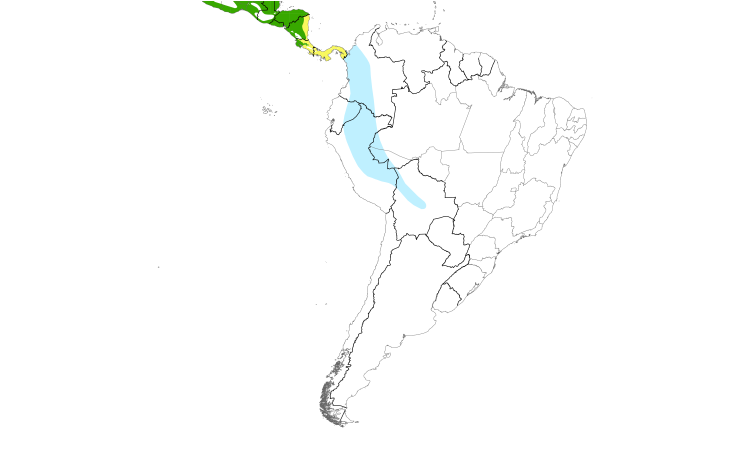 Range Map (South): Sulphur-bellied Flycatcher