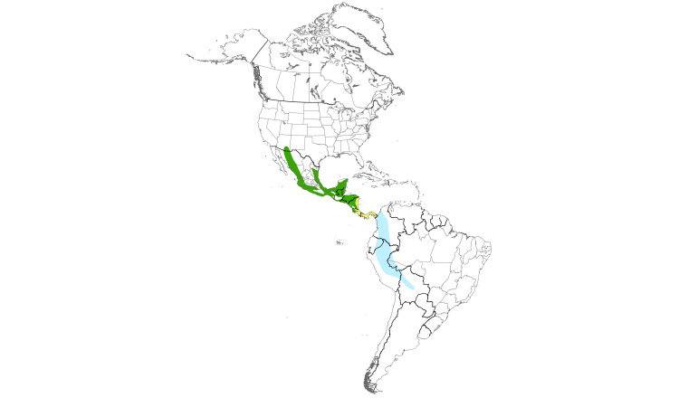 Range Map (Americas): Sulphur-bellied Flycatcher