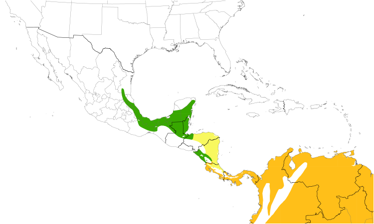 Range Map (Central): Streaked Flycatcher