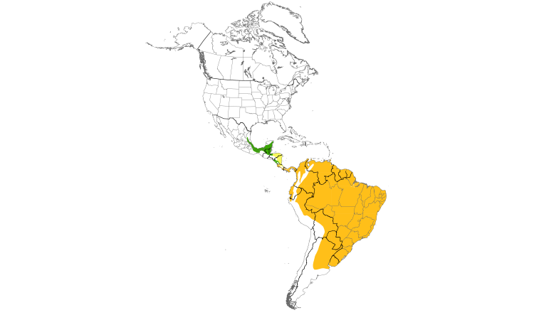 Range Map (Americas): Streaked Flycatcher