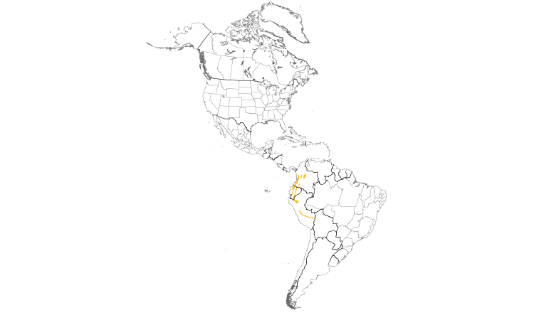 Range Map (Americas): Ornate Flycatcher