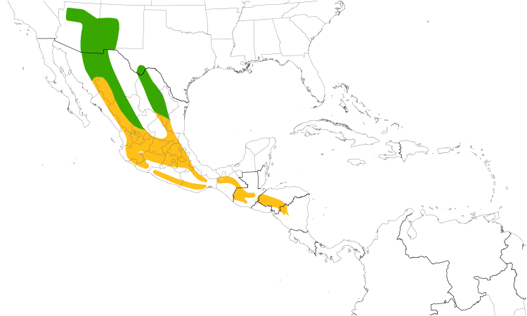 Range Map (Central): Painted Redstart