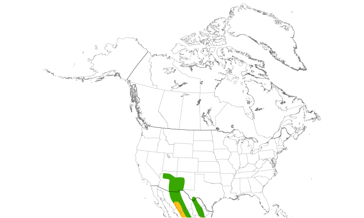 Range Map (North): Painted Redstart