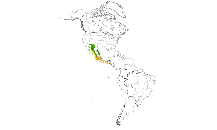 Range Map (Americas): Painted Redstart